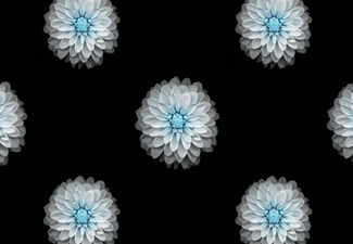 sympathy, funeral, sympathy group ecard, sympathy group greeting, eulogy, sympathy greeting cards, sympathy ecard, celebration of life, celebration of life ideas, ecard, group ecard, group ecards, video gift, funeral reception ideas, life tribute, memorial, better than free ecard